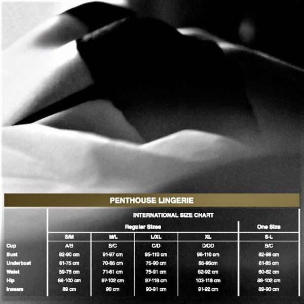 PENTHOUSE - NO EXCUSES MEDIAS S/M/L - Imagen 3