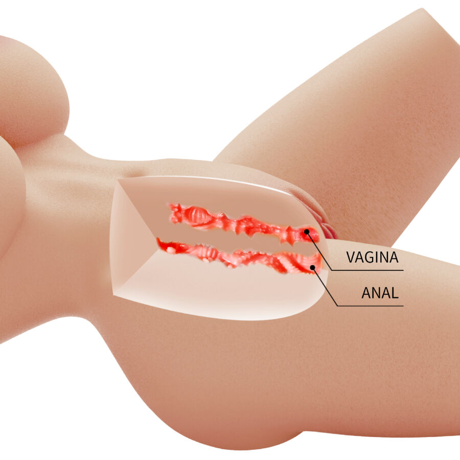 CRAZY BULL - LILY TORSO FEMENINO REALISTA VAGINA Y ANAL 4 KG - Imagen 5